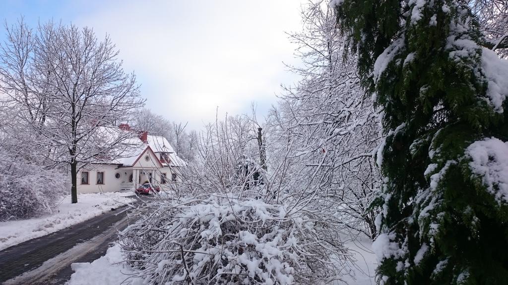 Dwor Osmolice Bed & Breakfast Bialki Dolne Exterior photo